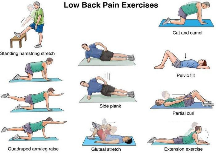 low back pain exercise